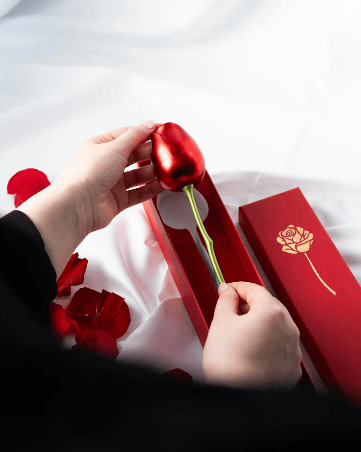 ROSA METÁLICA ETERNA + COLLAR Y ARETES AURORA ENCHAPADO EN ORO 18K